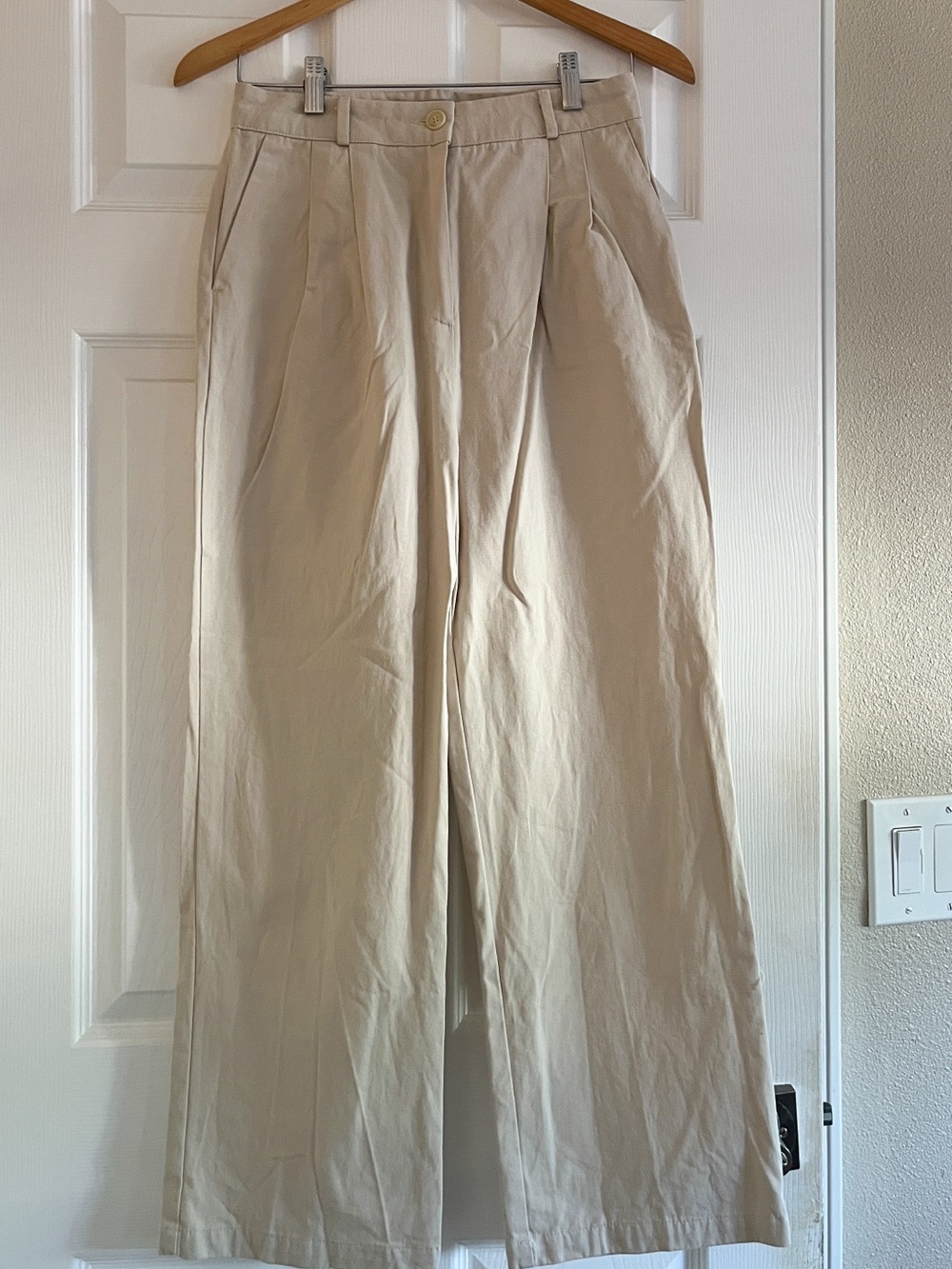 K-fashion Beige Wide-Leg Dress Pants